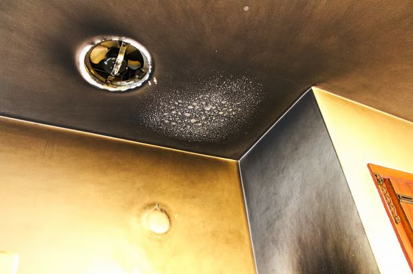 Smoke Damage Remediation in Valrico